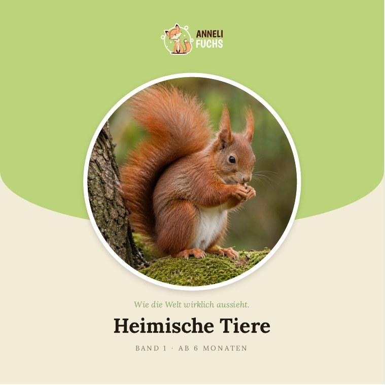 Buch-Cover: Heimische Tiere — Band 1 der Anneli Fuchs Reihe